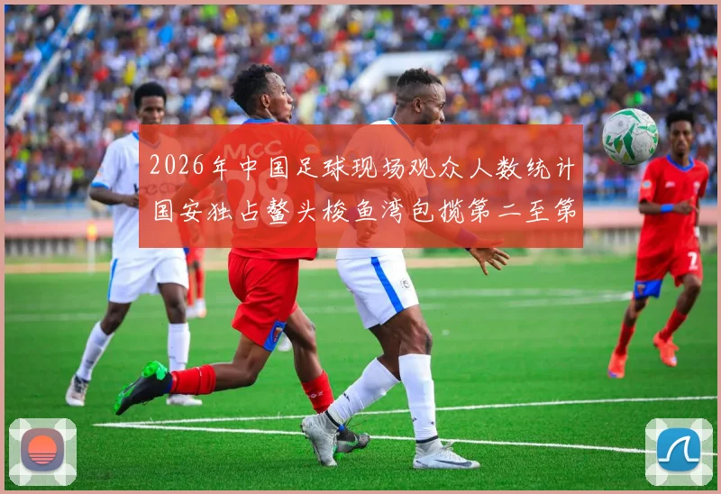 2026年中国足球现场观众人数统计国安独占鳌头梭鱼湾包揽第二至第七位
