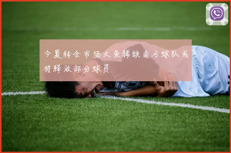 今夏转会市场大鱼稀缺南方球队或将释放部分球员